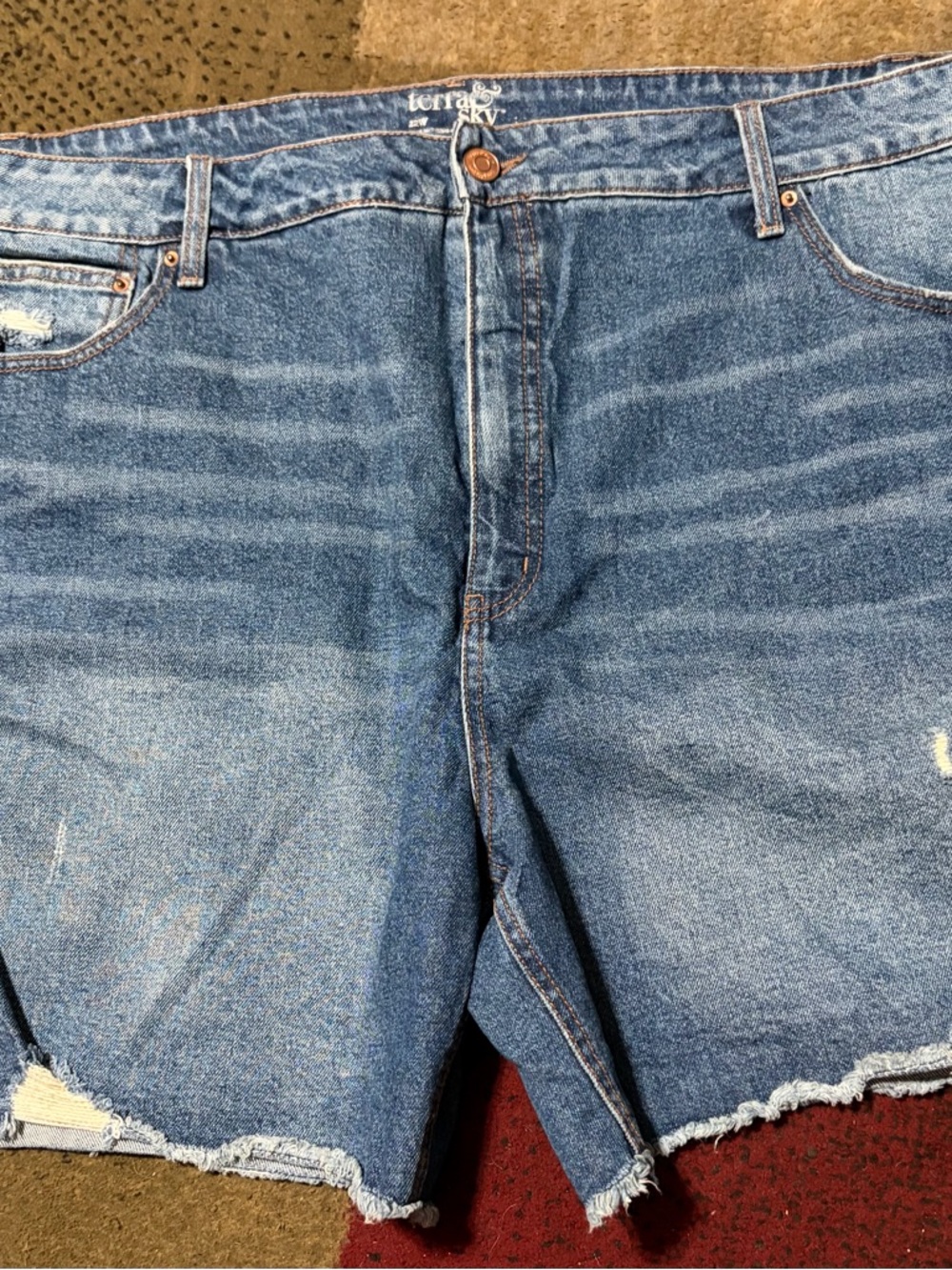 Terra & Sky Distressed Blue Denim Men’s Jean Shorts